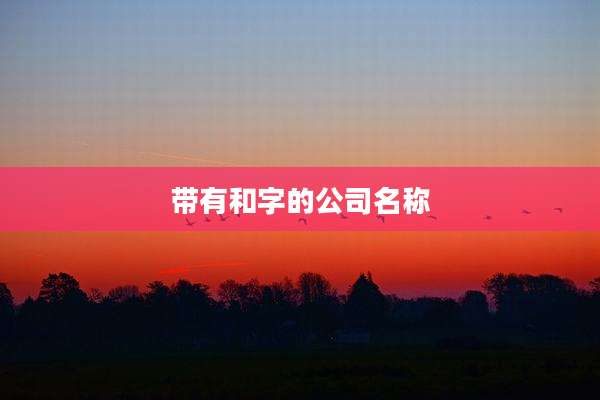 带有和字的公司名称