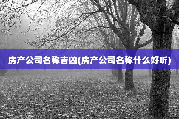 房产公司名称吉凶(房产公司名称什么好听)