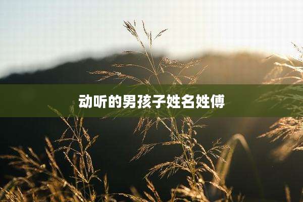 动听的男孩子姓名姓傅