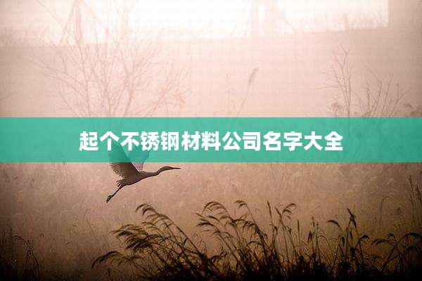 起个不锈钢材料公司名字大全
