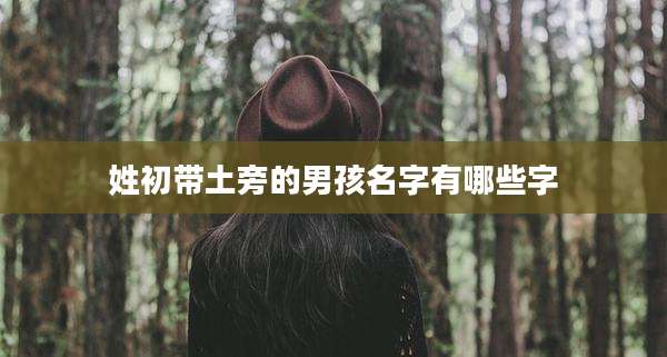 姓初带土旁的男孩名字有哪些字
