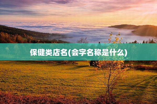 保健类店名(会字名称是什么)