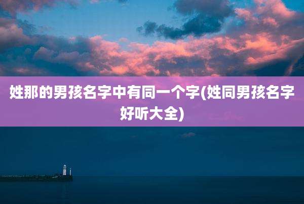 姓那的男孩名字中有同一个字(姓同男孩名字好听大全)