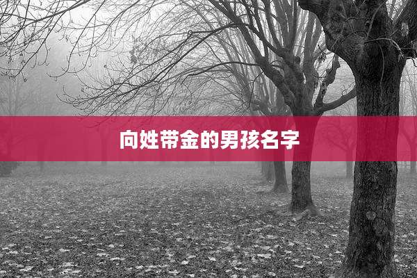 向姓带金的男孩名字