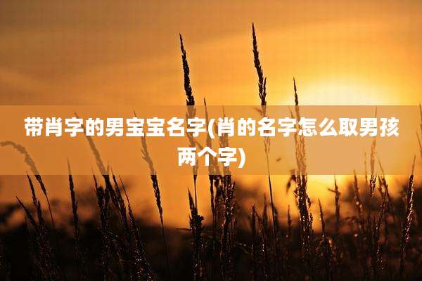 带肖字的男宝宝名字(肖的名字怎么取男孩两个字)