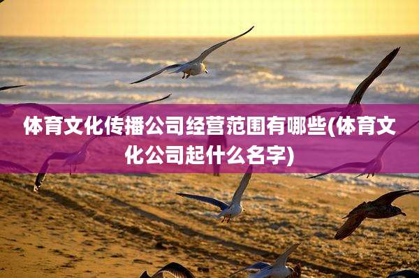 体育文化传播公司经营范围有哪些(体育文化公司起什么名字)