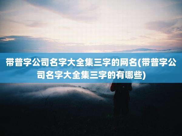 带普字公司名字大全集三字的网名(带普字公司名字大全集三字的有哪些)