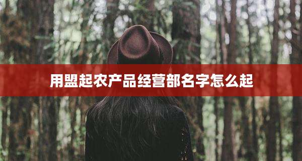 用盟起农产品经营部名字怎么起