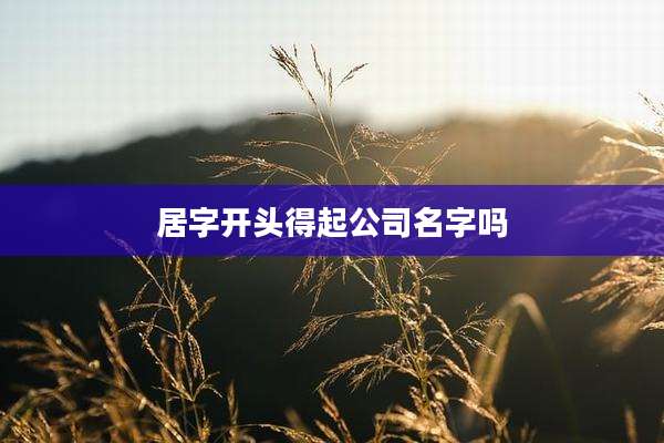 居字开头得起公司名字吗