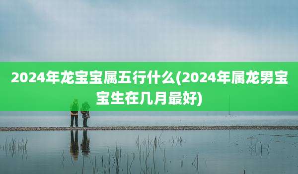 2024年龙宝宝属五行什么(2024年属龙男宝宝生在几月最好)