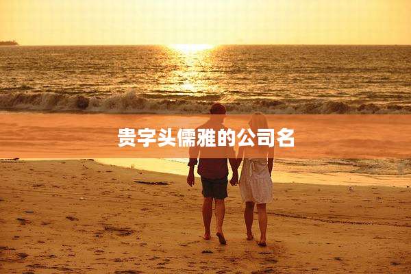 贵字头儒雅的公司名