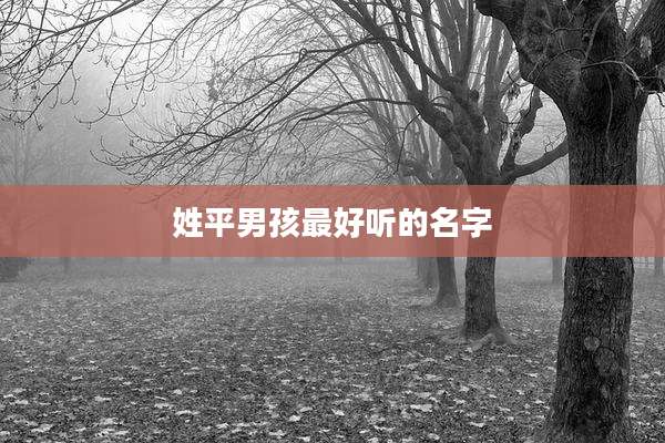 姓平男孩最好听的名字