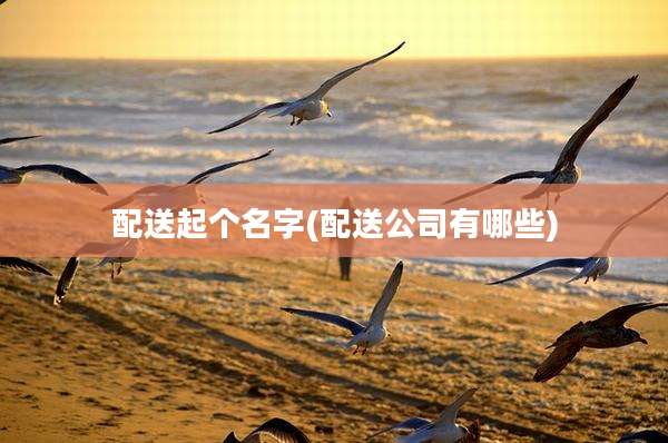 配送起个名字(配送公司有哪些)