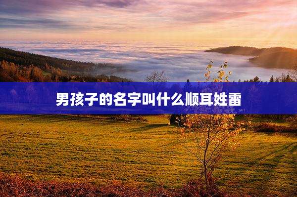 男孩子的名字叫什么顺耳姓雷