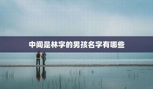 中间是林字的男孩名字有哪些