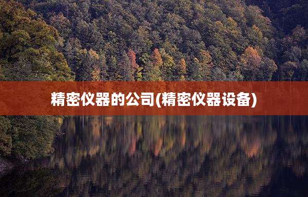 精密仪器的公司(精密仪器设备)