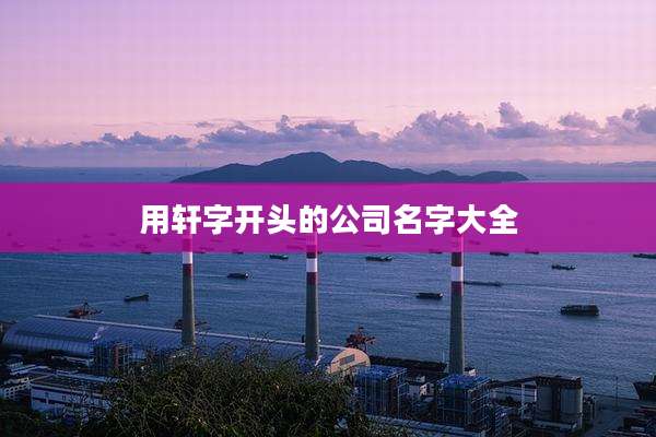 用轩字开头的公司名字大全