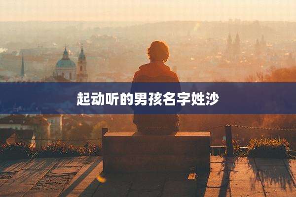 起动听的男孩名字姓沙