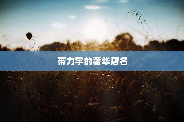 带力字的奢华店名