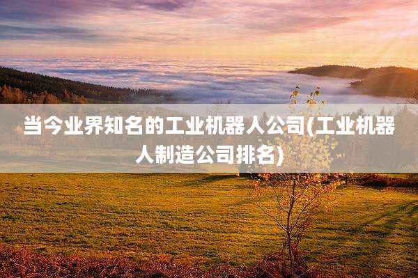 当今业界知名的工业机器人公司(工业机器人制造公司排名)