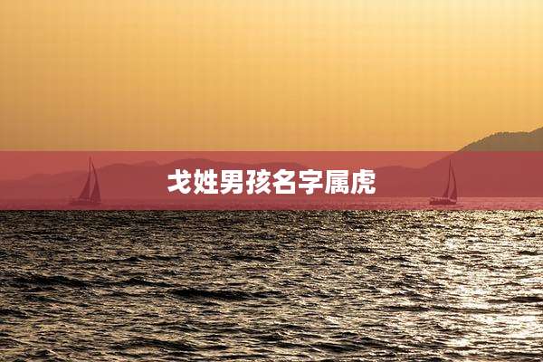 戈姓男孩名字属虎