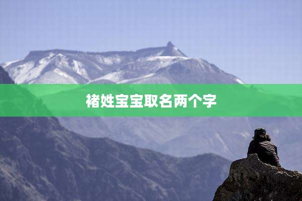 褚姓宝宝取名两个字