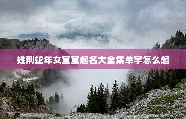姓荆蛇年女宝宝起名大全集单字怎么起