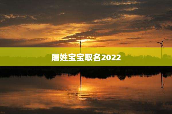 屠姓宝宝取名2022