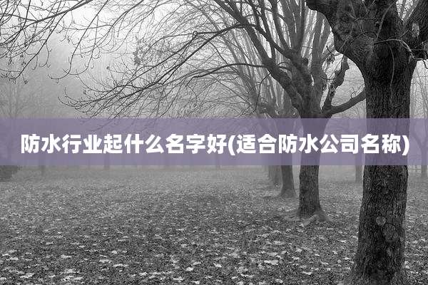防水行业起什么名字好(适合防水公司名称)