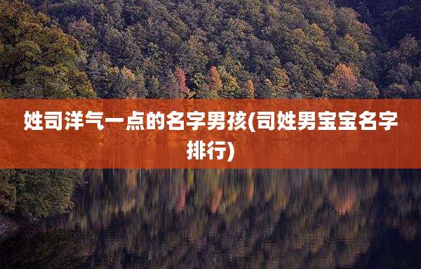 姓司洋气一点的名字男孩(司姓男宝宝名字排行)