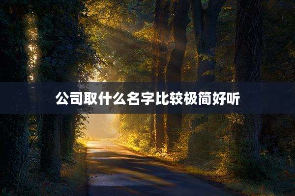 公司取什么名字比较极简好听