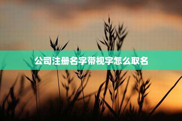 公司注册名字带视字怎么取名