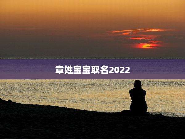 章姓宝宝取名2022
