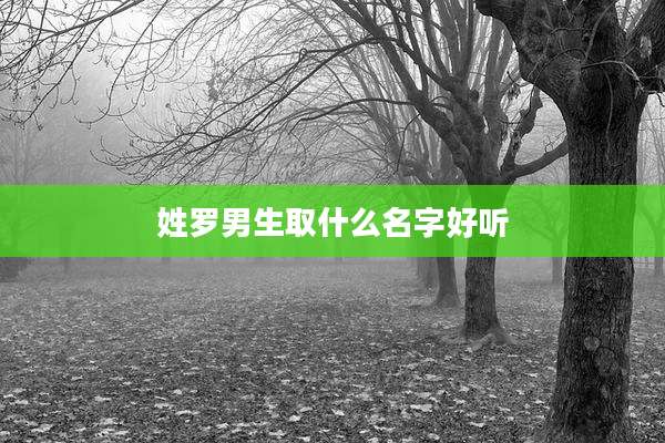 姓罗男生取什么名字好听