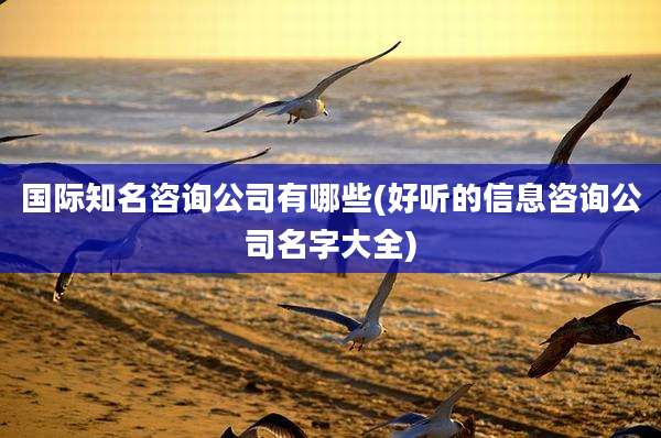 国际知名咨询公司有哪些(好听的信息咨询公司名字大全)