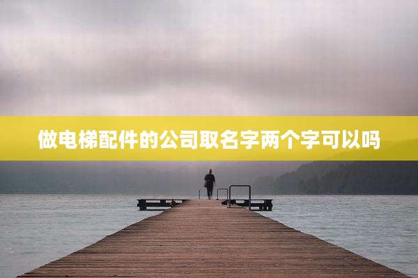 做电梯配件的公司取名字两个字可以吗