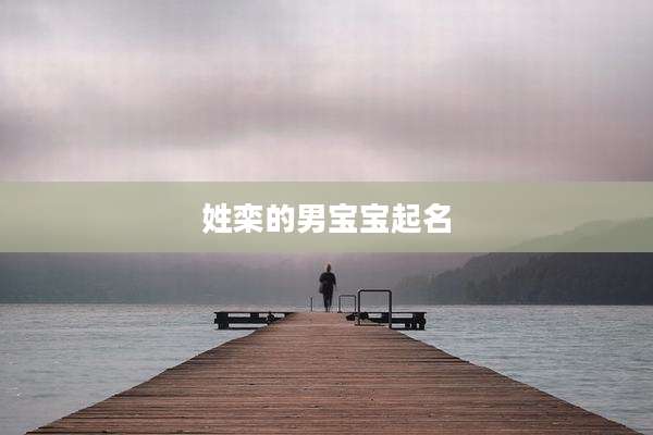 姓栾的男宝宝起名
