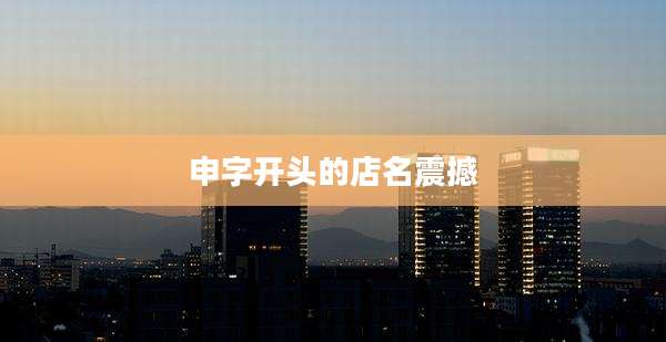 申字开头的店名震撼