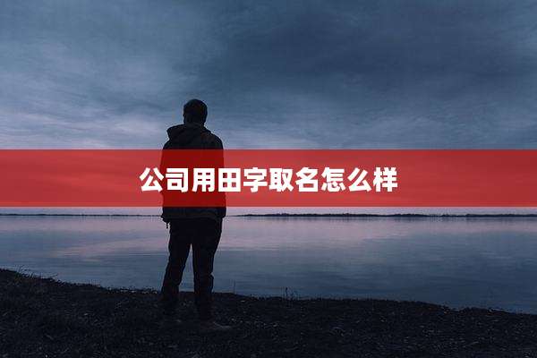 公司用田字取名怎么样