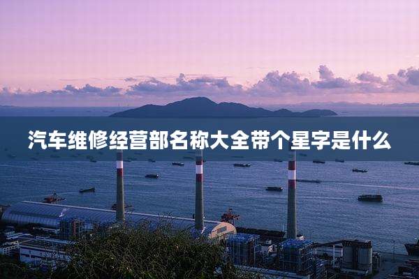 汽车维修经营部名称大全带个星字是什么