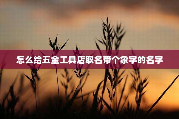 怎么给五金工具店取名带个象字的名字