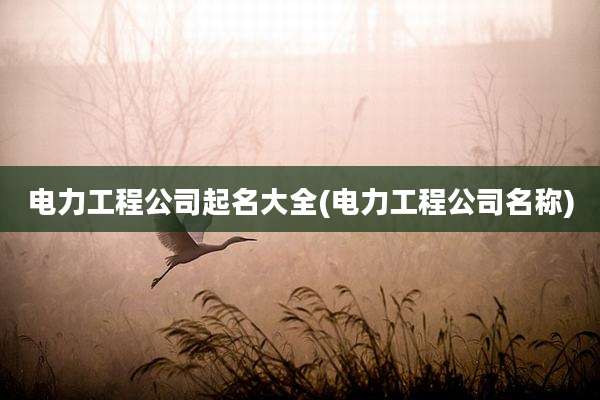 电力工程公司起名大全(电力工程公司名称)