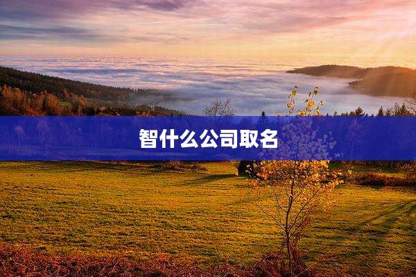 智什么公司取名