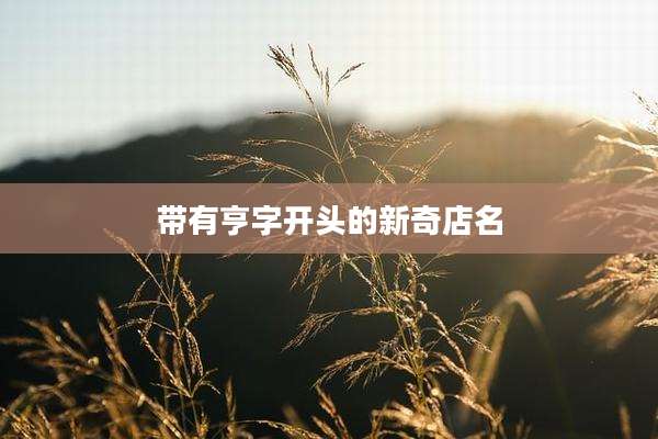 带有亨字开头的新奇店名