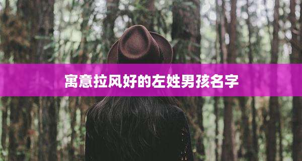 寓意拉风好的左姓男孩名字