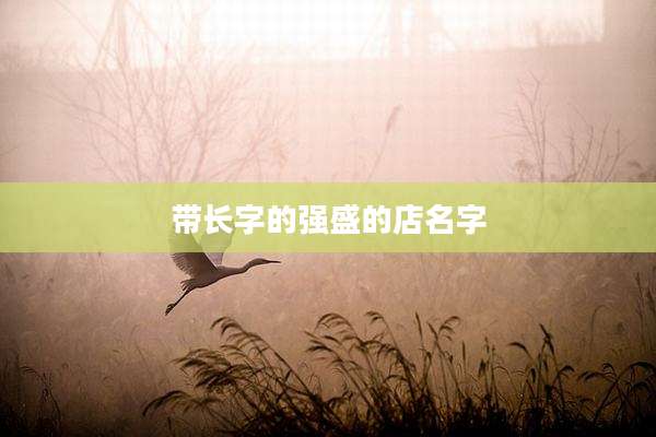 带长字的强盛的店名字
