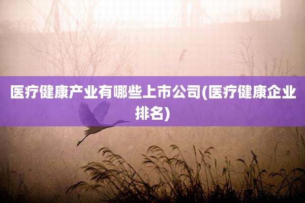 医疗健康产业有哪些上市公司(医疗健康企业排名)