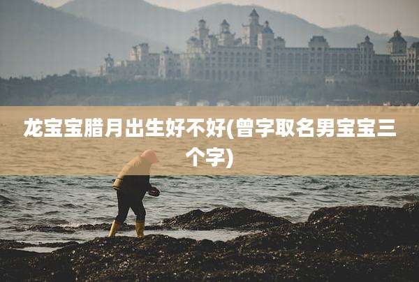 龙宝宝腊月出生好不好(曾字取名男宝宝三个字)