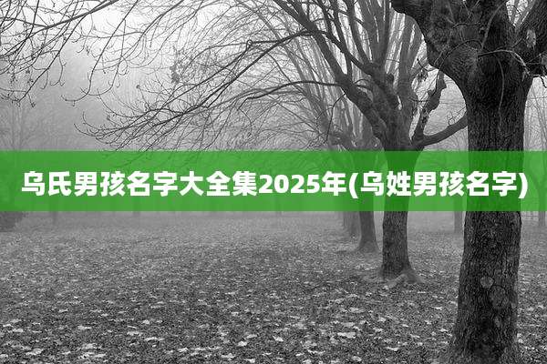 乌氏男孩名字大全集2025年(乌姓男孩名字)