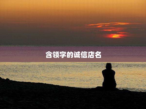含领字的诚信店名